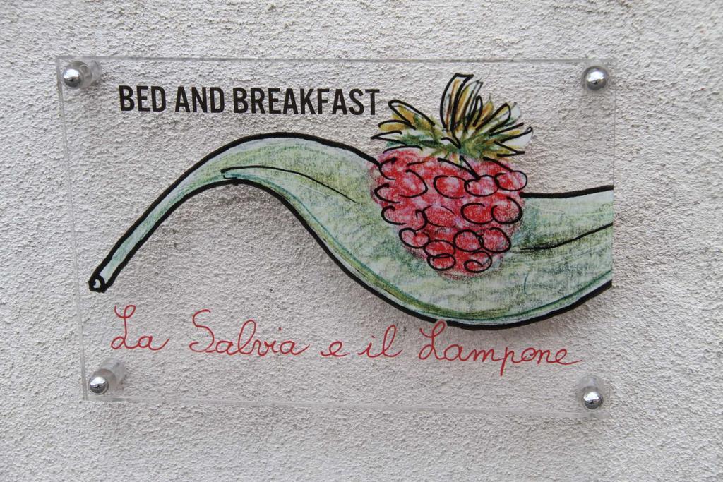 La Salvia E Il Lampone Bed and Breakfast Pove del Grappa Eksteriør billede